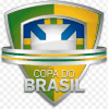 Brazilski pokal