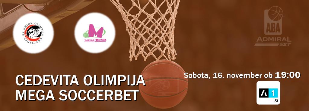 Dvoboj Cedevita Olimpija in Mega Soccerbet s prenosom tekme v živo na Arena Sport 1.