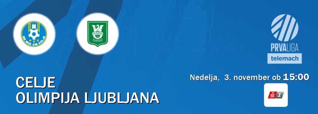 Dvoboj Celje in Olimpija Ljubljana s prenosom tekme v živo na Sport TV 1.