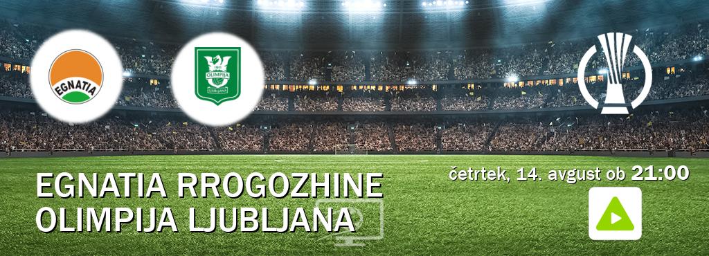 Ne zamudi prenosa tekme Egnatia Rrogozhine - Olimpija Ljubljana v živo na Kanal A.