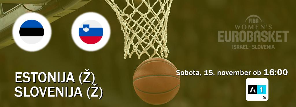Estonija (Ž) in Slovenija (Ž) v živo na Arena Sport 1. Prenos tekme bo v sobota, 15. november ob  16:00