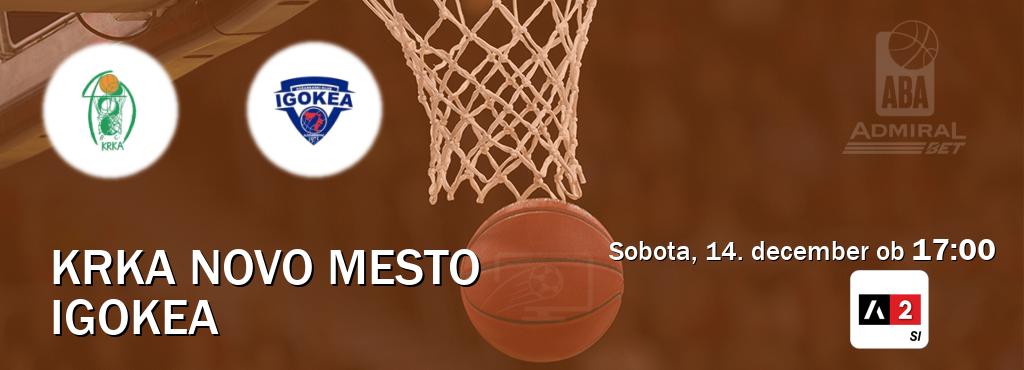 Krka Novo Mesto in Igokea v živo na Arena Sport 2. Prenos tekme bo v sobota, 14. december ob  17:00