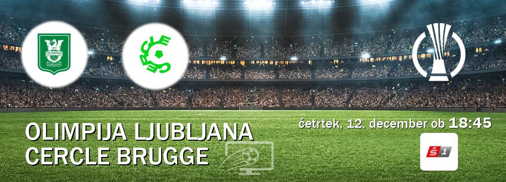 Olimpija Ljubljana in Cercle Brugge v živo na Sport TV 1. Prenos tekme bo v četrtek, 12. december ob  18:45