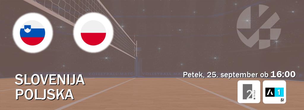 Ne zamudi prenosa tekme Slovenija - Poljska v živo na TV Slo 2 in Arena Sport 1.