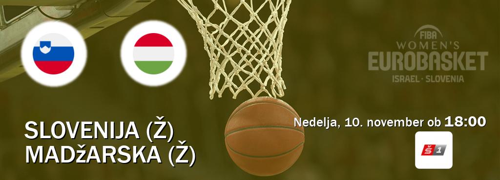 Dvoboj Slovenija (Ž) in Madžarska (Ž) s prenosom tekme v živo na Sport TV 1.